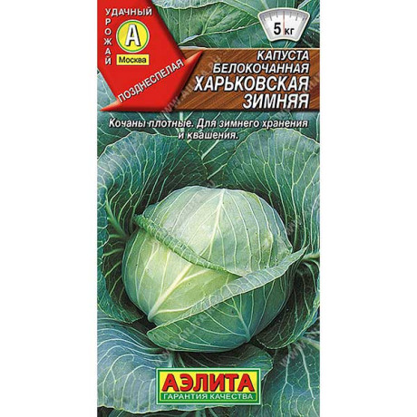 Капуста Харьковская зимняя Аэлита Ц