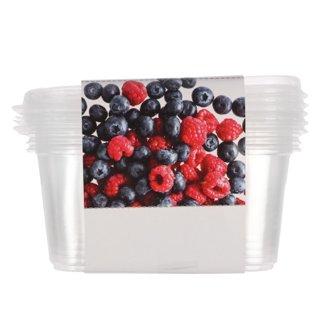 Набор контейнеров тм Юпласт, 250 мл, пластик, 5 штук