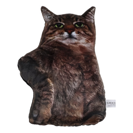 Мягкая игрушка-подушка "Мемчик", полиэстер, 24-30 см, 6 видов