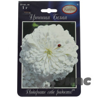 К Циния Полярный медведь Белая Каприс