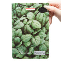 Шпинат Исполинский Каприс