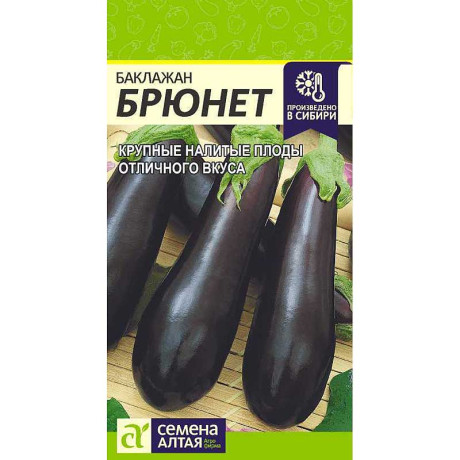 Баклажан Брюнет СемАлт Ц