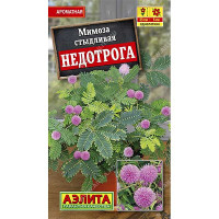 КОМ Мимоза Недотрога Аэлита Ц