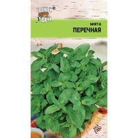 Мята Перечная Урожай у дачи Ц