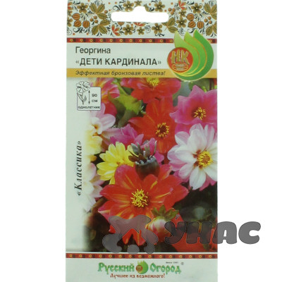 Георгин Дети Кардинала смесь НК Ц