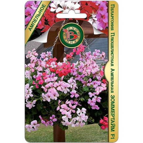 КОМ Пеларгония Зоммертайм ампельная Биотехника Ц