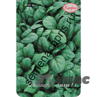 Шпинат Аполло (Нидерланды) Каприс