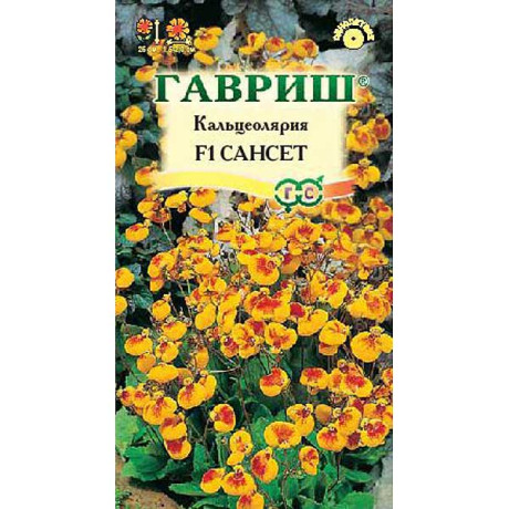 Кальцеолярия Сансет Гавриш Цх10