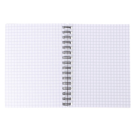 Блокнот Русские Супергерои, 105х140 мм, 80л, клетка, мягкий переплет, спираль, в ассортим.