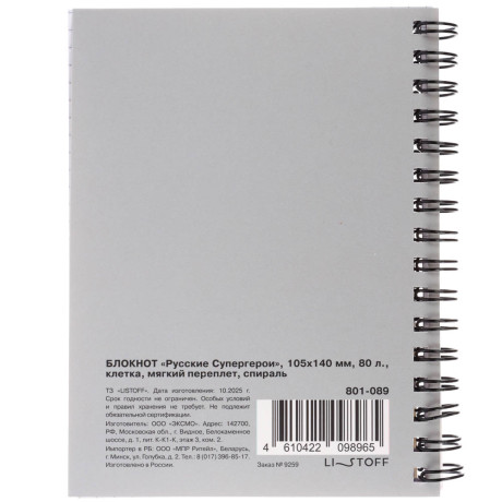 Блокнот Русские Супергерои, 105х140 мм, 80л, клетка, мягкий переплет, спираль, в ассортим.