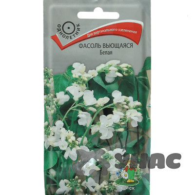 Фасоль вьющ Белая Поиск Ц