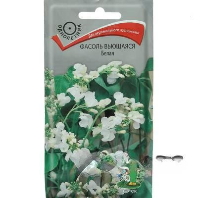 Фасоль вьющ Белая Поиск Ц