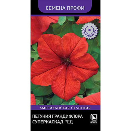Петуния Суперкаскад Ред Поиск Ц