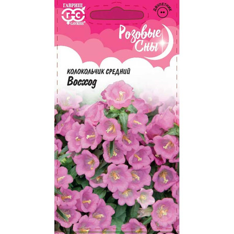 Колокольчик Восход Гавриш Ц