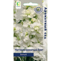 Маттиола Ароматный Букет Белый Поиск Ц