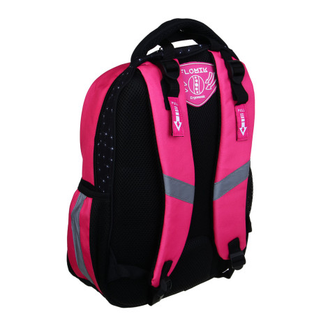 FLOMIK Рюкзак школьный 39х30х22см, "Капибара", 1 отд., 1 передний, 2 бок.карм., эрг.спинка, упл.лям.