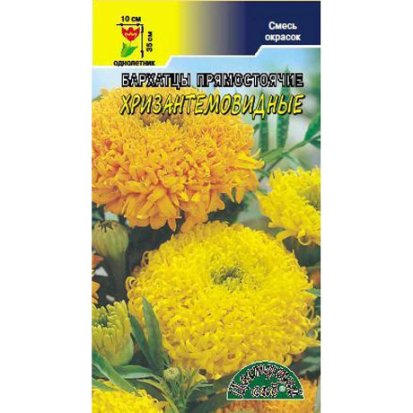 Бархатцы Хризантемовидные см ЦветСад Ц