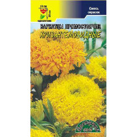 Бархатцы Хризантемовидные см ЦветСад Ц