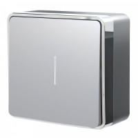 Werkel выкл. ОУ 1 кл. (инд.) Gallant (серебро) a052766 W5010106