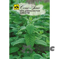 Мята Сиксти длиннолистная Семко Ц
