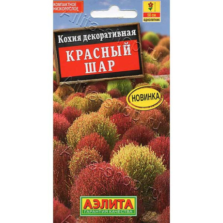 Кохия Красный шар Аэлита Ц
