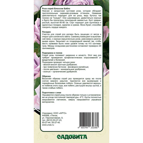 Роза спрей Блоссом баблс Садовита