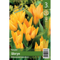 Тюльпан Шогун 7/8 3 шт