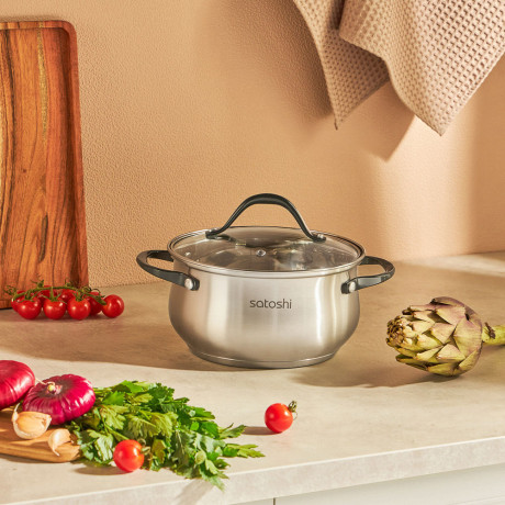 SATOSHI Велли Набор кастрюль 4 пр.: 2,5л, 4,5л, со стекл. крышкой