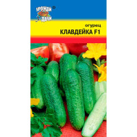 Огурец Клавдейка Урожай у дачи Ц
