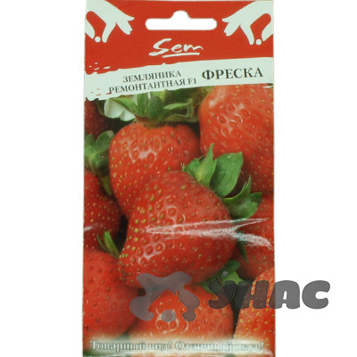 Земляника Фреска ремонтантная НК Ц