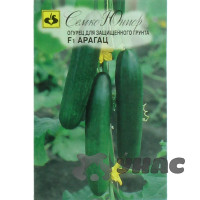 Огурец Арагац Семко Ц