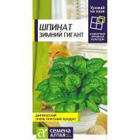 Шпинат Зимний гигант СемАлт Ц