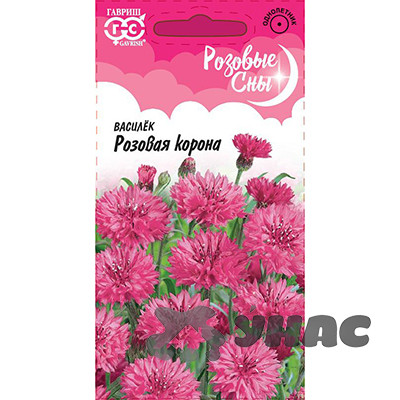 Василек Розовая корона Гавриш Ц