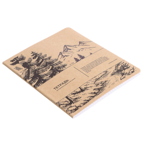 Тетрадь общая Русские Супергерои, формат А5, 48л. в клетку, на скобе, скругленные углы, в ассортим.