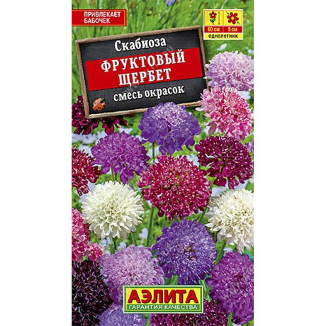 Скабиоза Фруктовый щербет махр. смесь  Аэлита Ц