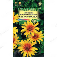 Гелиопсис Слушая космос подсолнеч Гавриш Цх10