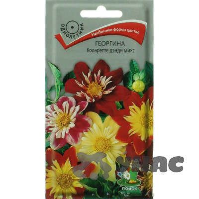 Георгин Коларетте дэнди микс Поиск Ц