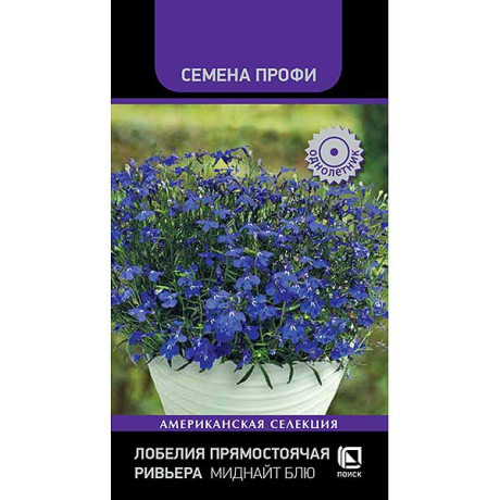 Лобелия Ривьера Миднайт Блю Поиск Ц