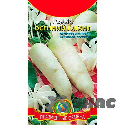 Редис Осенний Гигант Плазма Ц