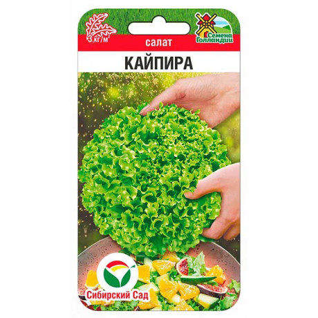 Салат Кайпира СибСад