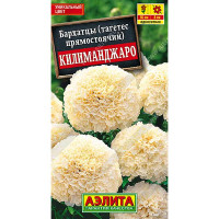 Бархатцы Килиманджаро Аэлита Ц