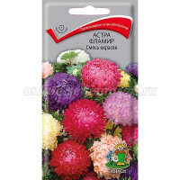 Астра Фламир Смесь окрасок Поиск Ц