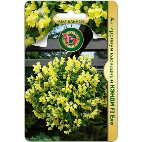 Антирринум Кэнди Ело Биотехника Ц