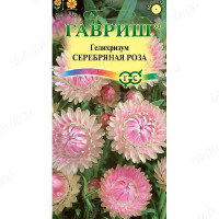 Гелихризум Серебряная роза Гавриш Ц