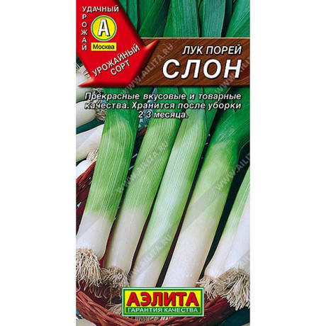 Лук порей Слон Аэлита Ц