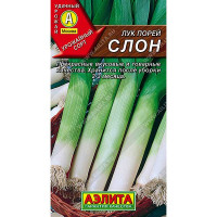 Лук порей Слон Аэлита Ц