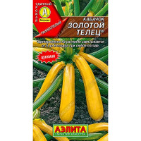 Кабачок Золотой Телец Аэлита Ц