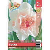 Нарцисс Реплет 10/12 2 шт