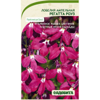 Семена Лобелия Регатта Роуз 3 драже РА/Садовита Ц