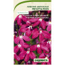 Семена Лобелия Регатта Роуз 3 драже РА/Садовита Ц